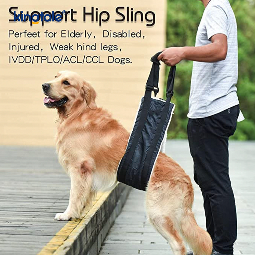 Harnais durable solide adapté aux besoins du client d'ascenseur de chien de bride portative adaptée aux besoins du client de chien pour des animaux familiers