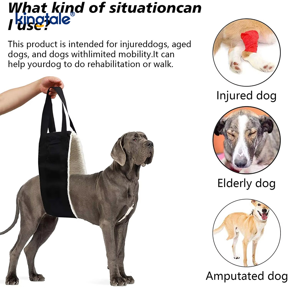 Harnais durable solide adapté aux besoins du client d'ascenseur de chien de bride portative adaptée aux besoins du client de chien pour des animaux familiers