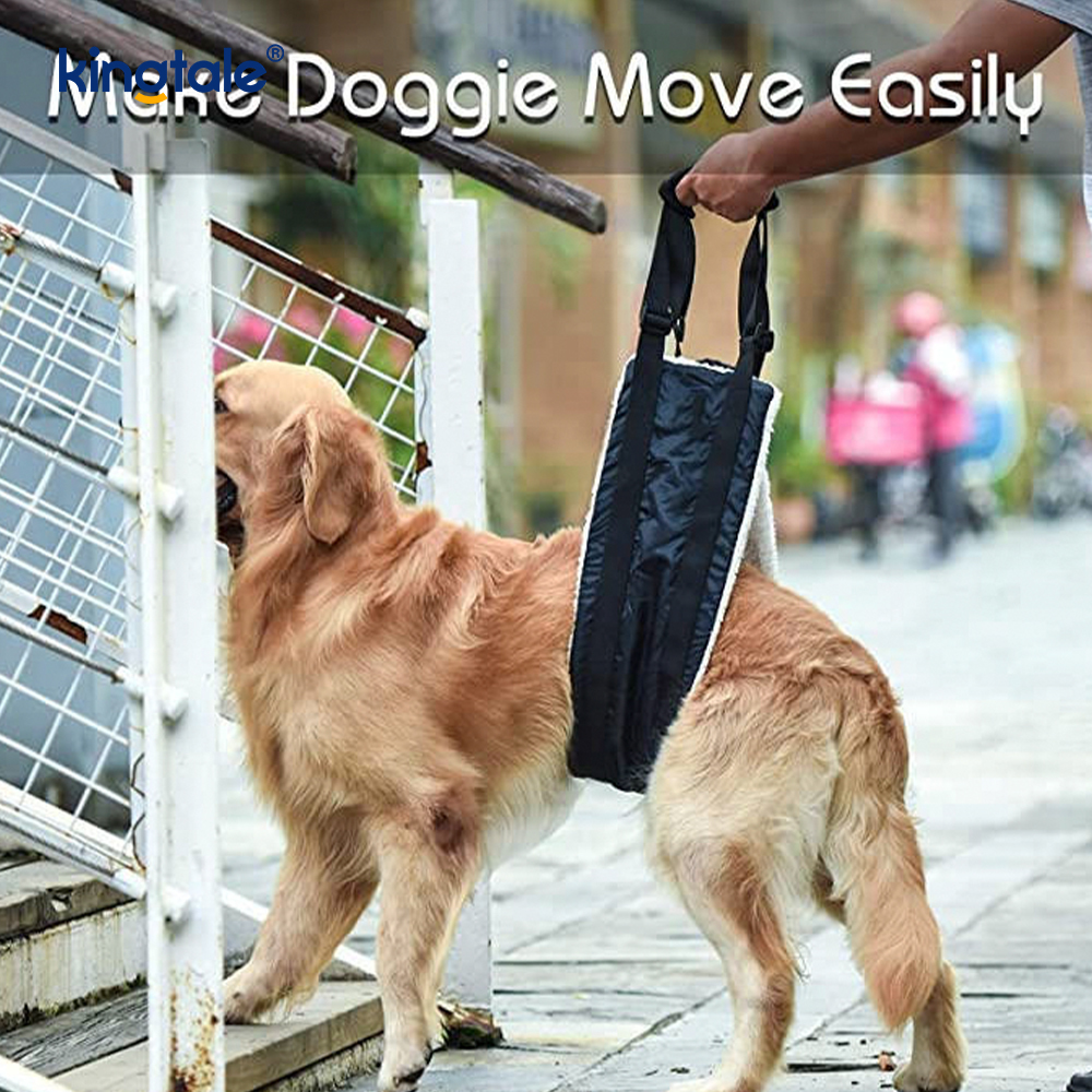 Harnais durable solide adapté aux besoins du client d'ascenseur de chien de bride portative adaptée aux besoins du client de chien pour des animaux familiers
