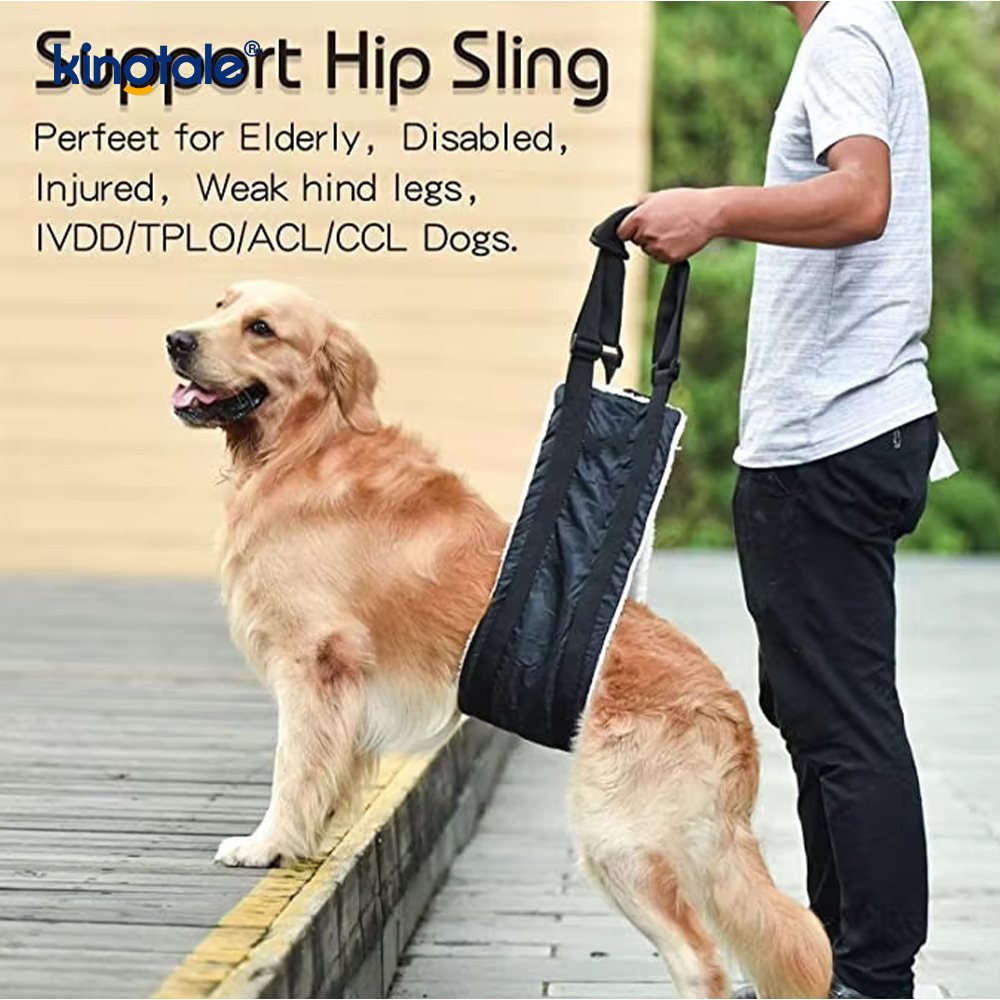 Harnais durable solide adapté aux besoins du client d'ascenseur de chien de bride portative adaptée aux besoins du client de chien pour des animaux familiers