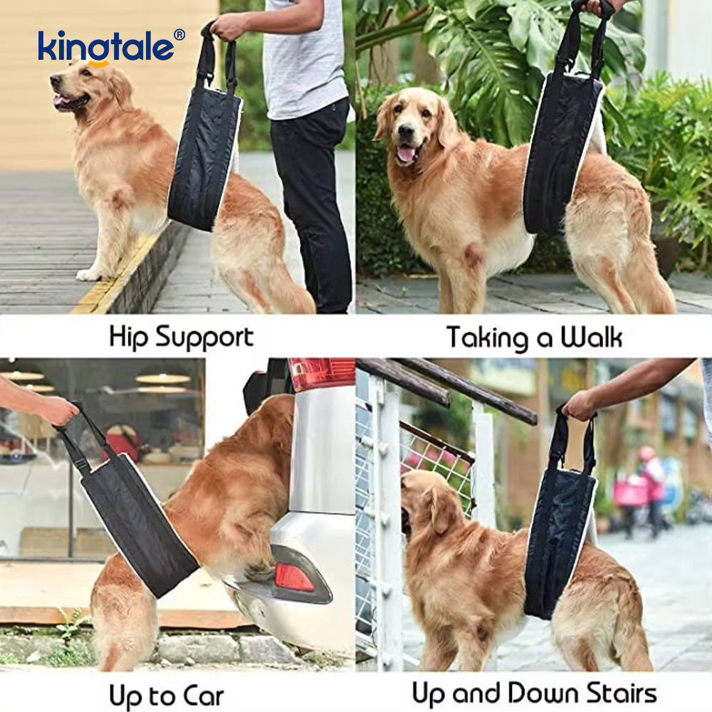 Harnais durable solide adapté aux besoins du client d'ascenseur de chien de bride portative adaptée aux besoins du client de chien pour des animaux familiers