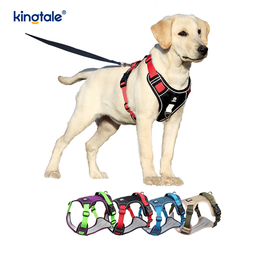 Harnais respirable réglable réfléchissant de sport de rivet en nylon avec la laisse de chien