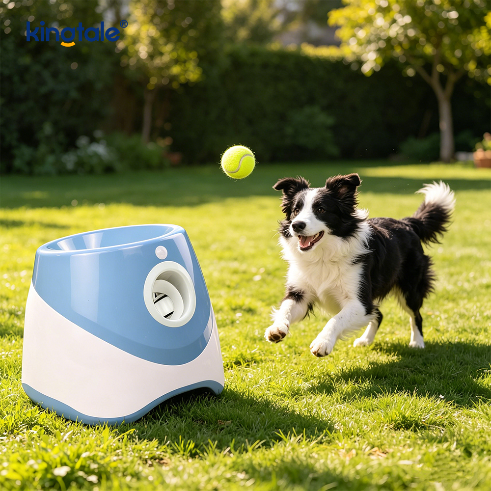 Lanceur de balle automatique avec 3 mini balles de tennis, jouets pour chiens en plein air