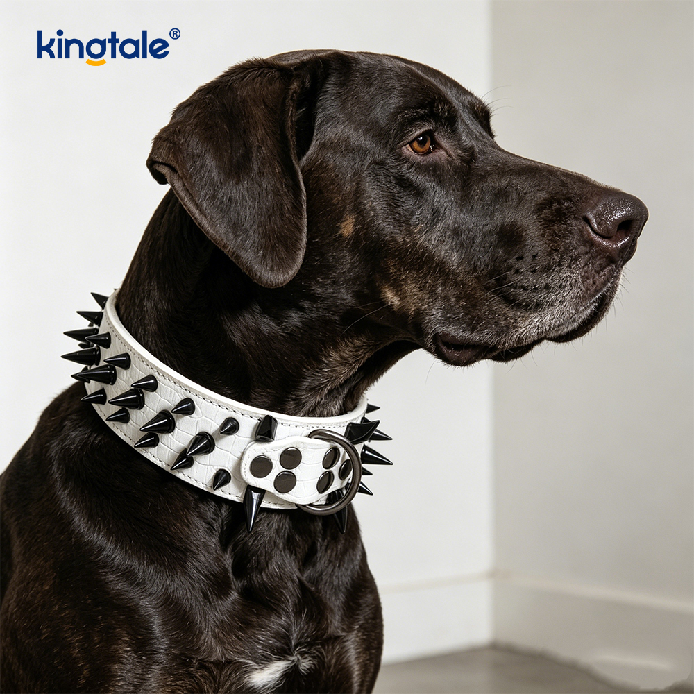 Collier pour chien clouté à pointes pointues, colliers pour chien en cuir élégants