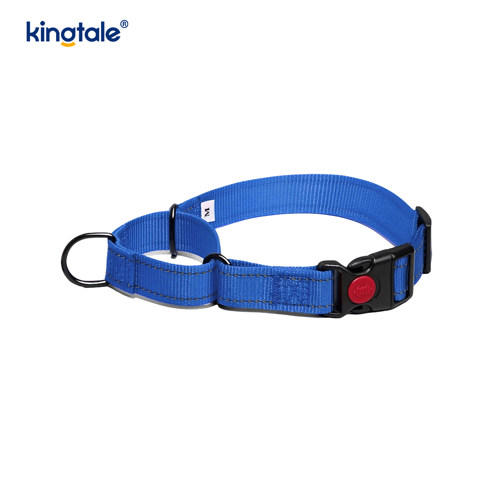 Collier pour chien Martingale en nylon réglable réfléchissant sans traction à dégagement rapide