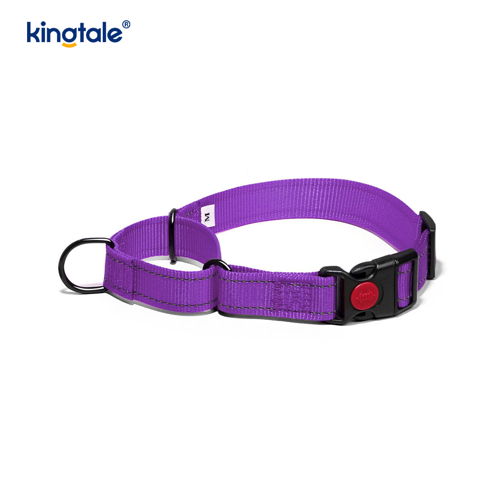 Collier pour chien Martingale en nylon réglable réfléchissant sans traction à dégagement rapide