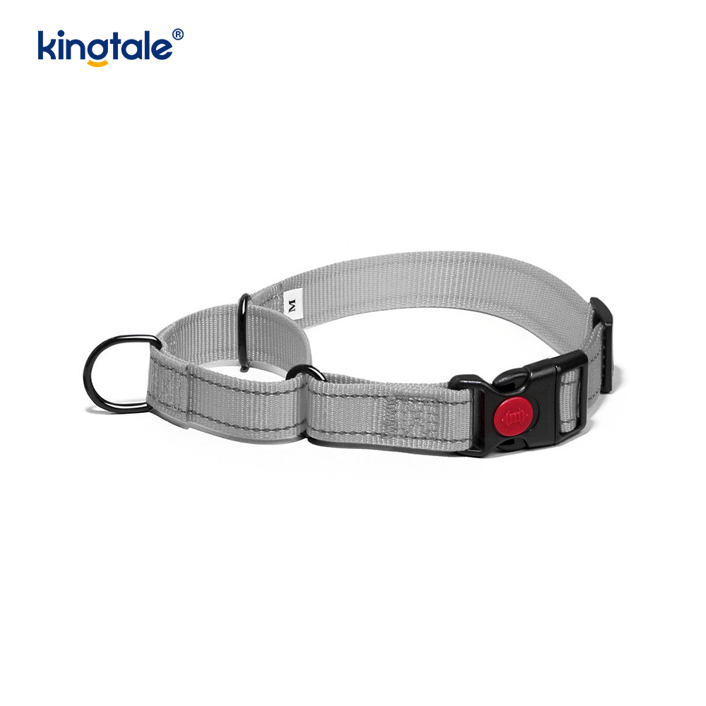 Collier pour chien Martingale en nylon réglable réfléchissant sans traction à dégagement rapide