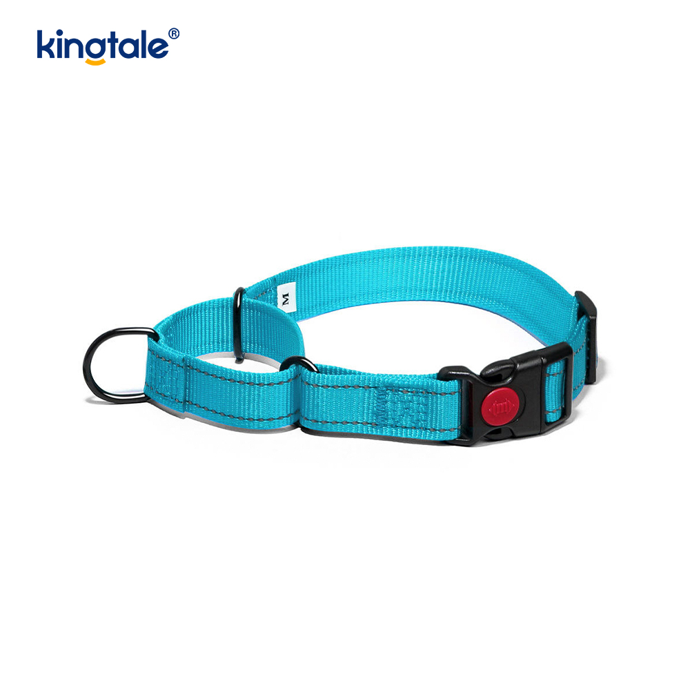 Collier pour chien Martingale en nylon réglable réfléchissant sans traction à dégagement rapide