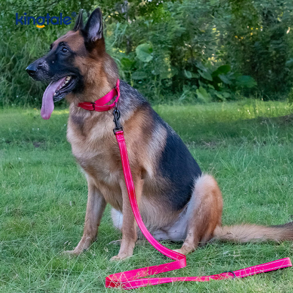 Collier pour chien Martingale en nylon réglable réfléchissant sans traction à dégagement rapide