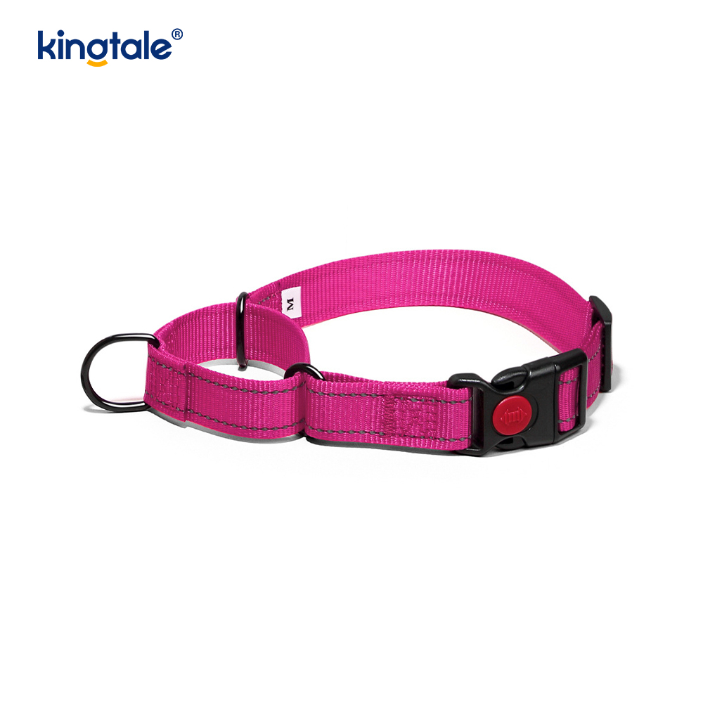 Collier pour chien Martingale en nylon réglable réfléchissant sans traction à dégagement rapide