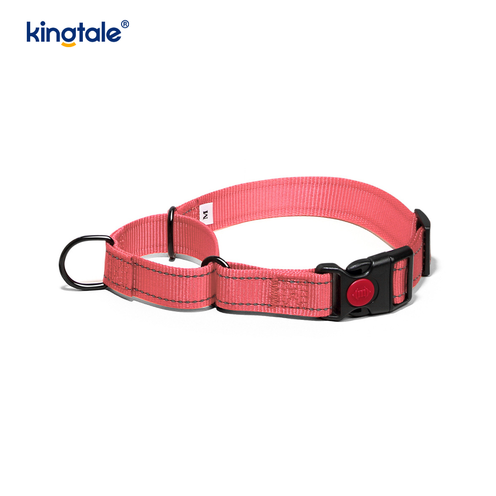 Collier pour chien Martingale en nylon réglable réfléchissant sans traction à dégagement rapide