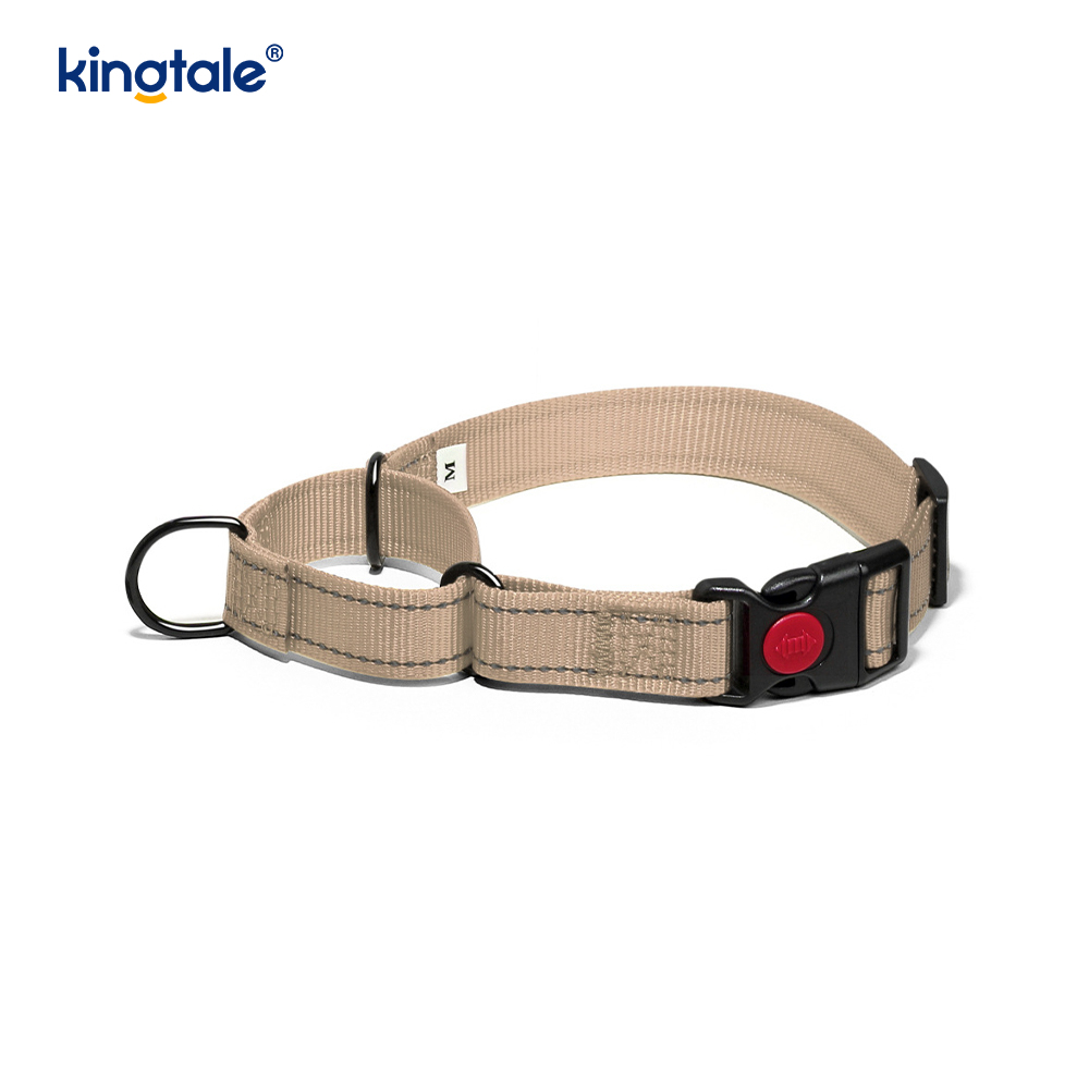 Collier pour chien Martingale en nylon réglable réfléchissant sans traction à dégagement rapide