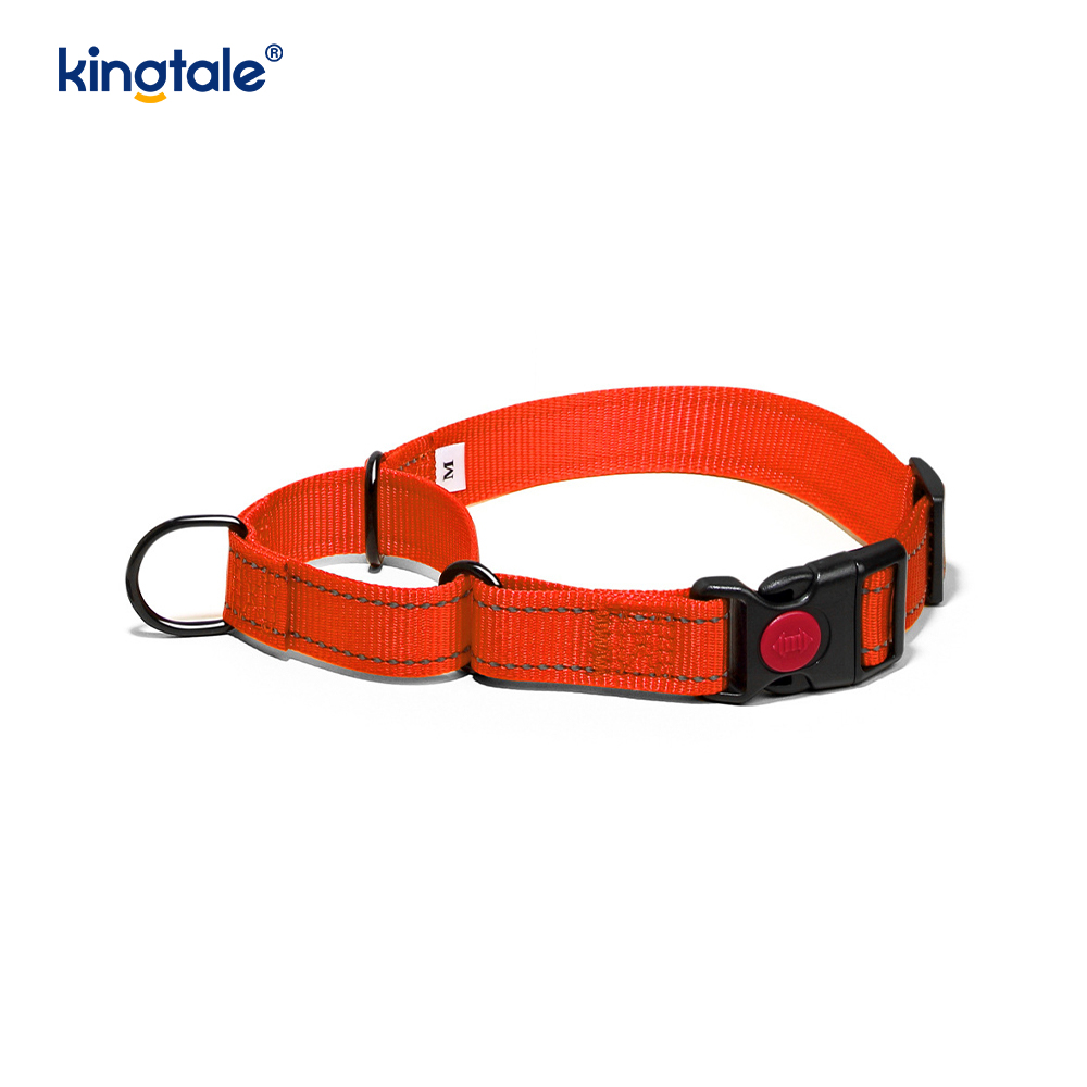 Collier pour chien Martingale en nylon réglable réfléchissant sans traction à dégagement rapide