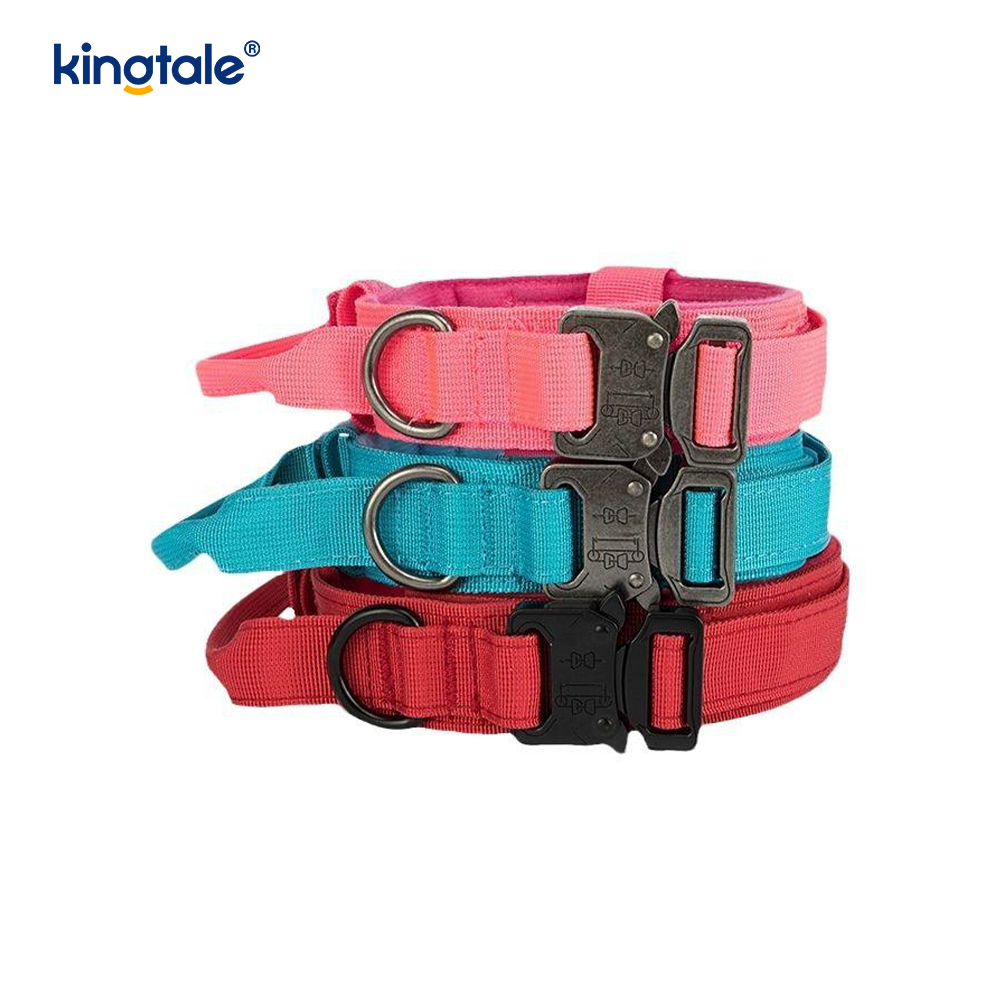 Collier à boucle en métal avec poignée de contrôle en nylon CutsomTraining