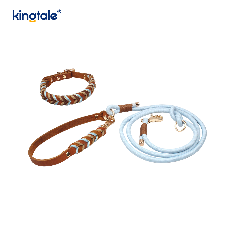Ensemble collier et laisse pour chien en cuir véritable doux et durable