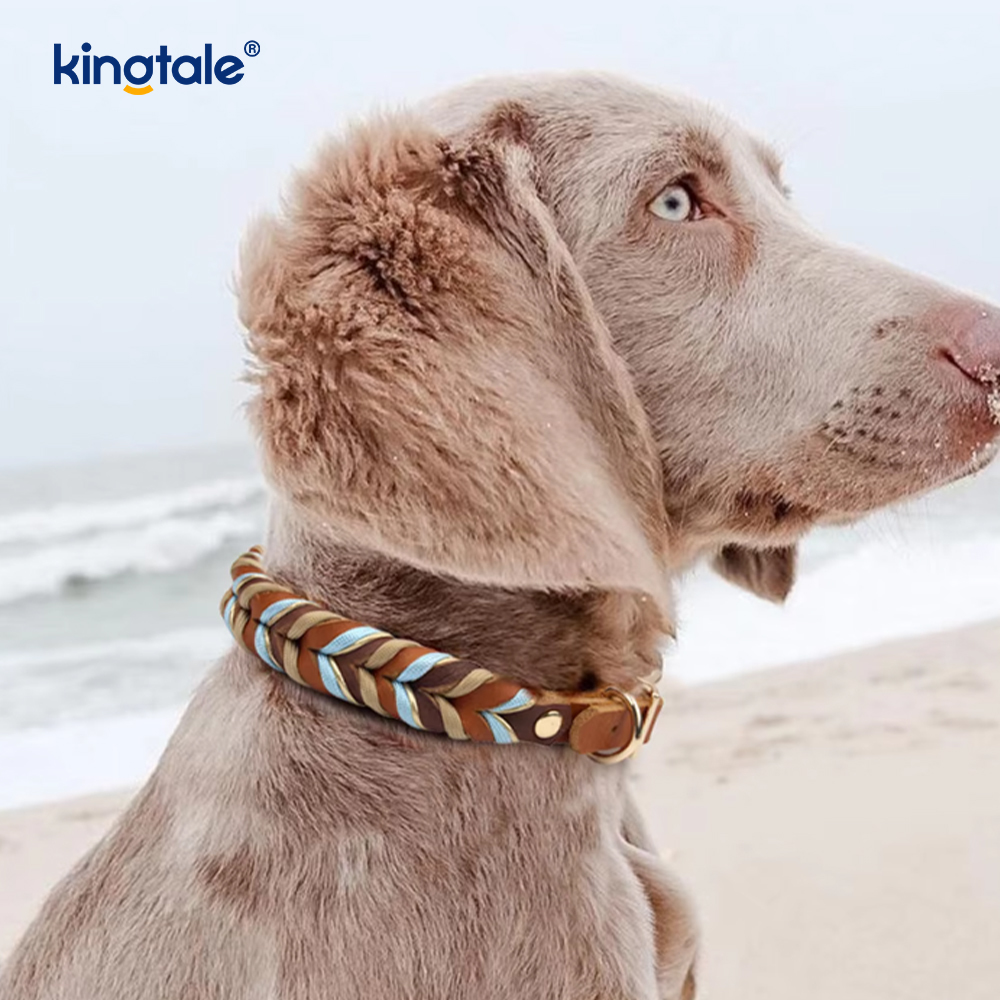 Ensemble collier et laisse pour chien en cuir véritable doux et durable