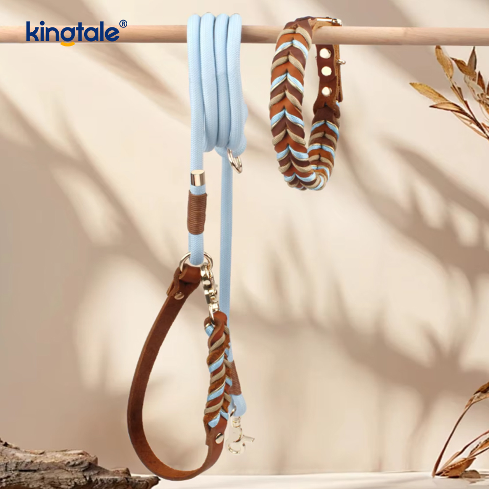 Ensemble collier et laisse pour chien en cuir véritable doux et durable