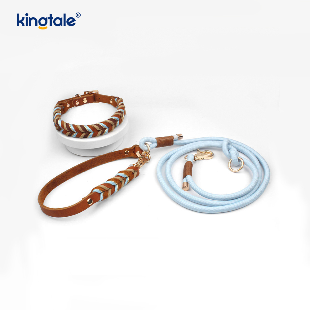 Ensemble collier et laisse pour chien en cuir véritable doux et durable