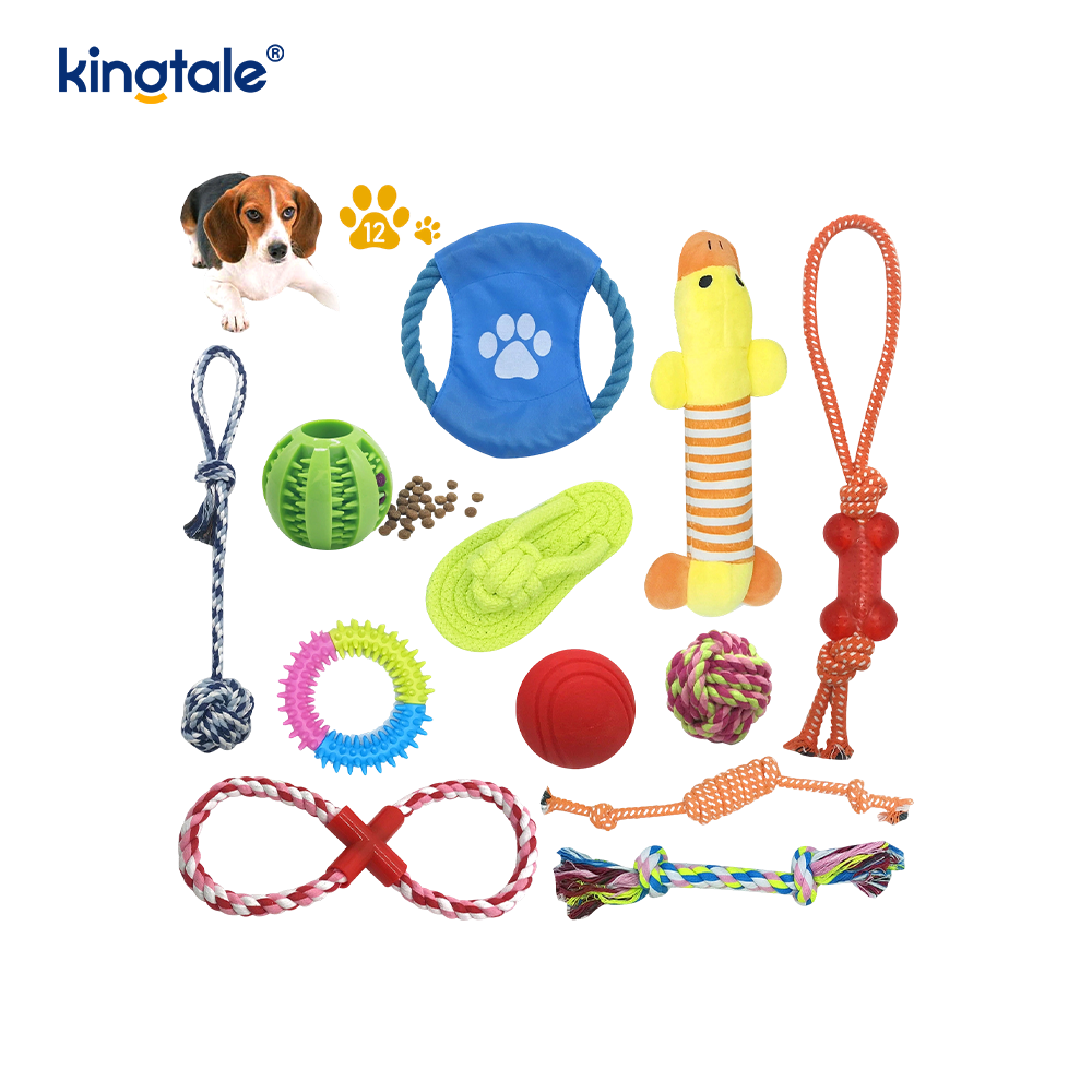 Bâtons de dentition durables pour chiot, boules de corde en coton, ensemble de jouets pour animaux de compagnie