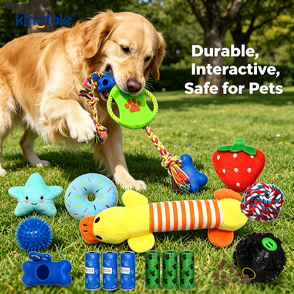Bâtons de dentition durables pour chiot, boules de corde en coton, ensemble de jouets pour animaux de compagnie