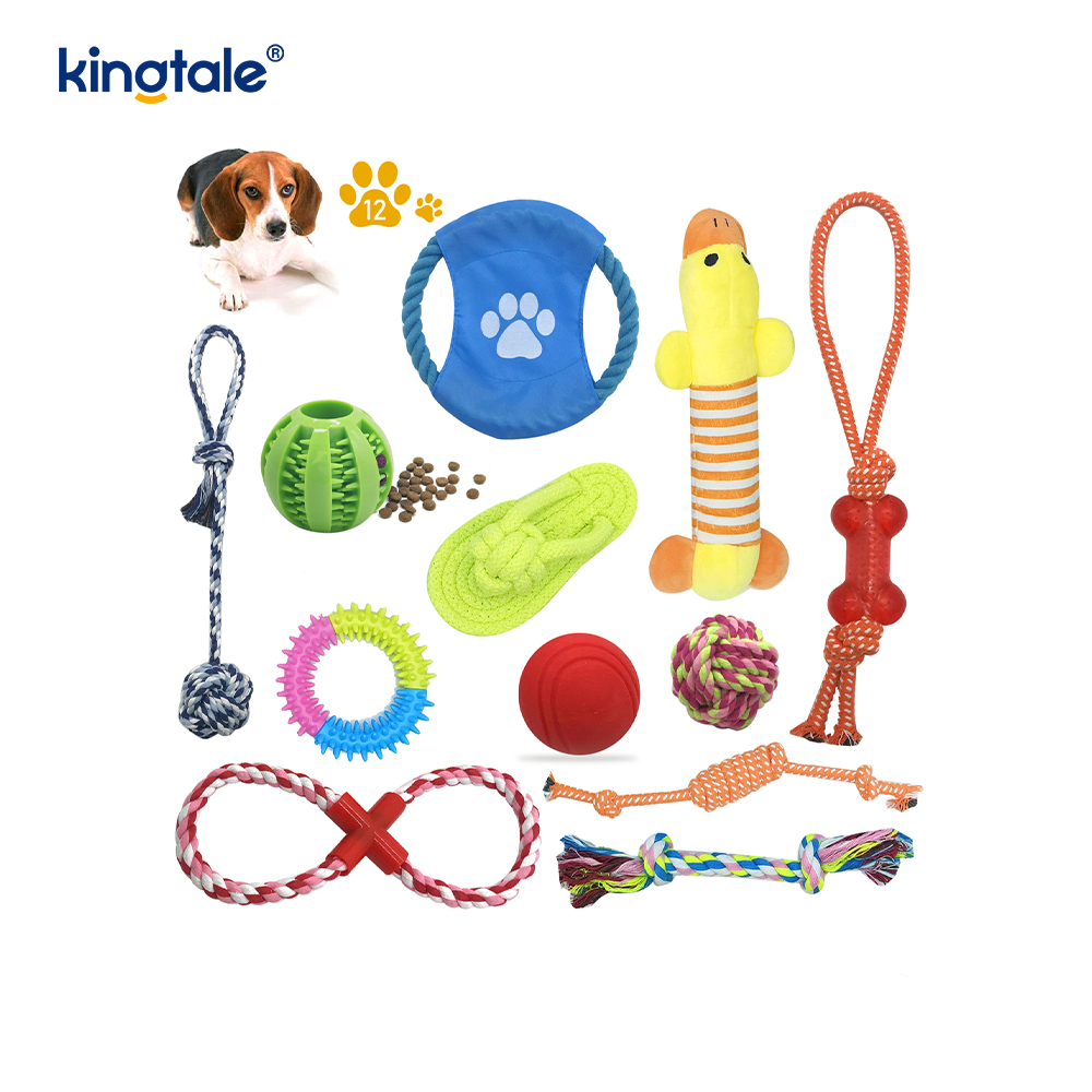 Bâtons de dentition durables pour chiot, boules de corde en coton, ensemble de jouets pour animaux de compagnie