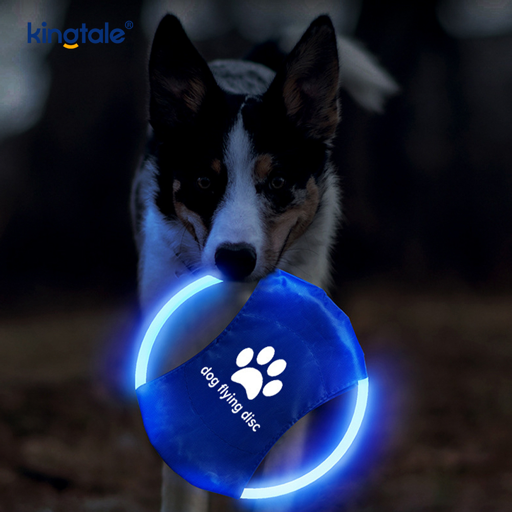 Jouet d'entraînement pour chien Frisbee lumineux rechargeable à LED