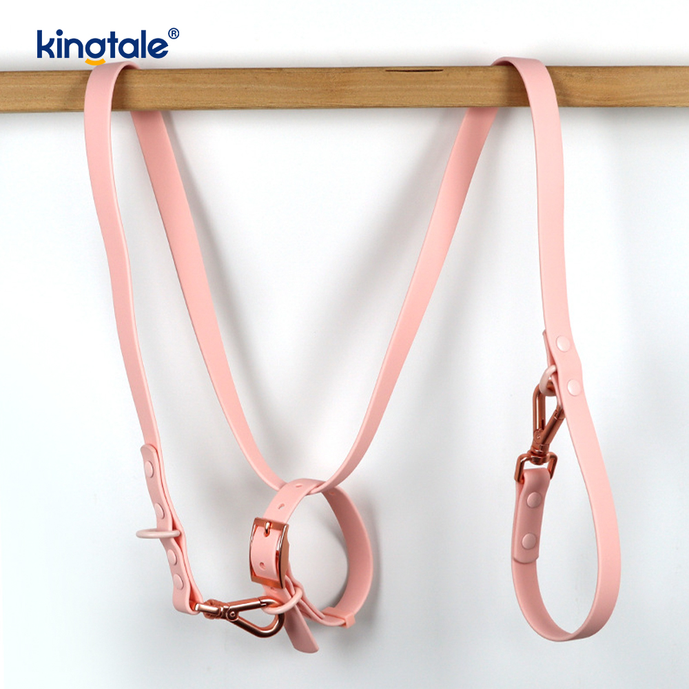 Laisse de colliers pour chien imperméable et résistance à l'abrasion avec revêtement en PVC