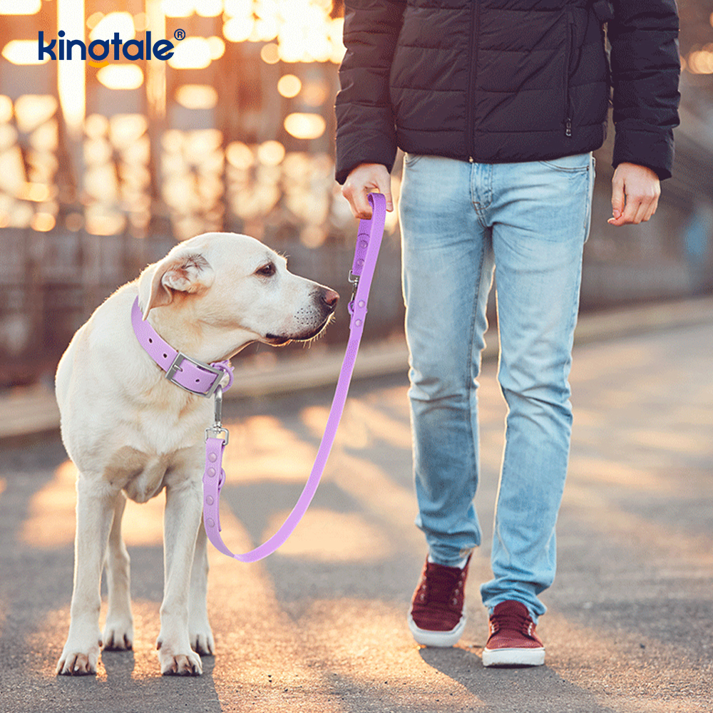 Laisse de colliers pour chien imperméable et résistance à l'abrasion avec revêtement en PVC