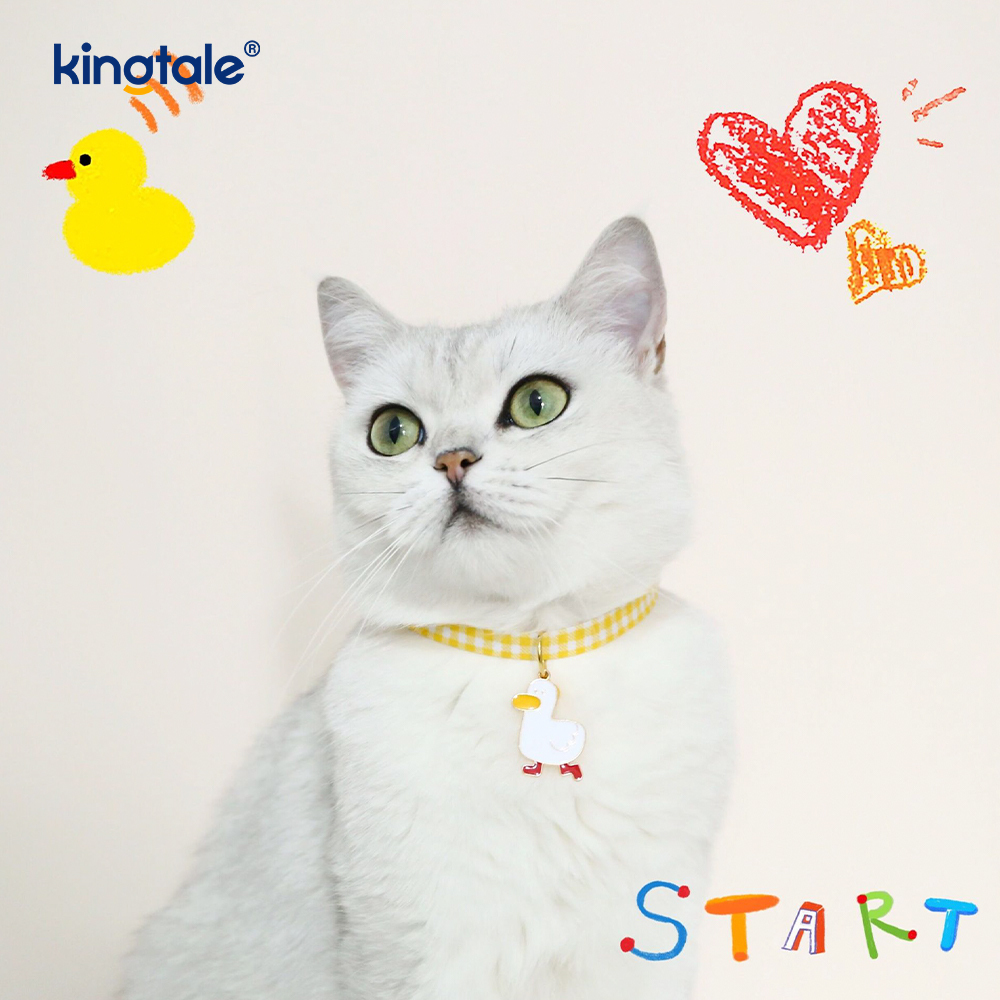 Colliers pour animaux de compagnie couleur bonbon avec pendentifs avocat – Colliers de sécurité