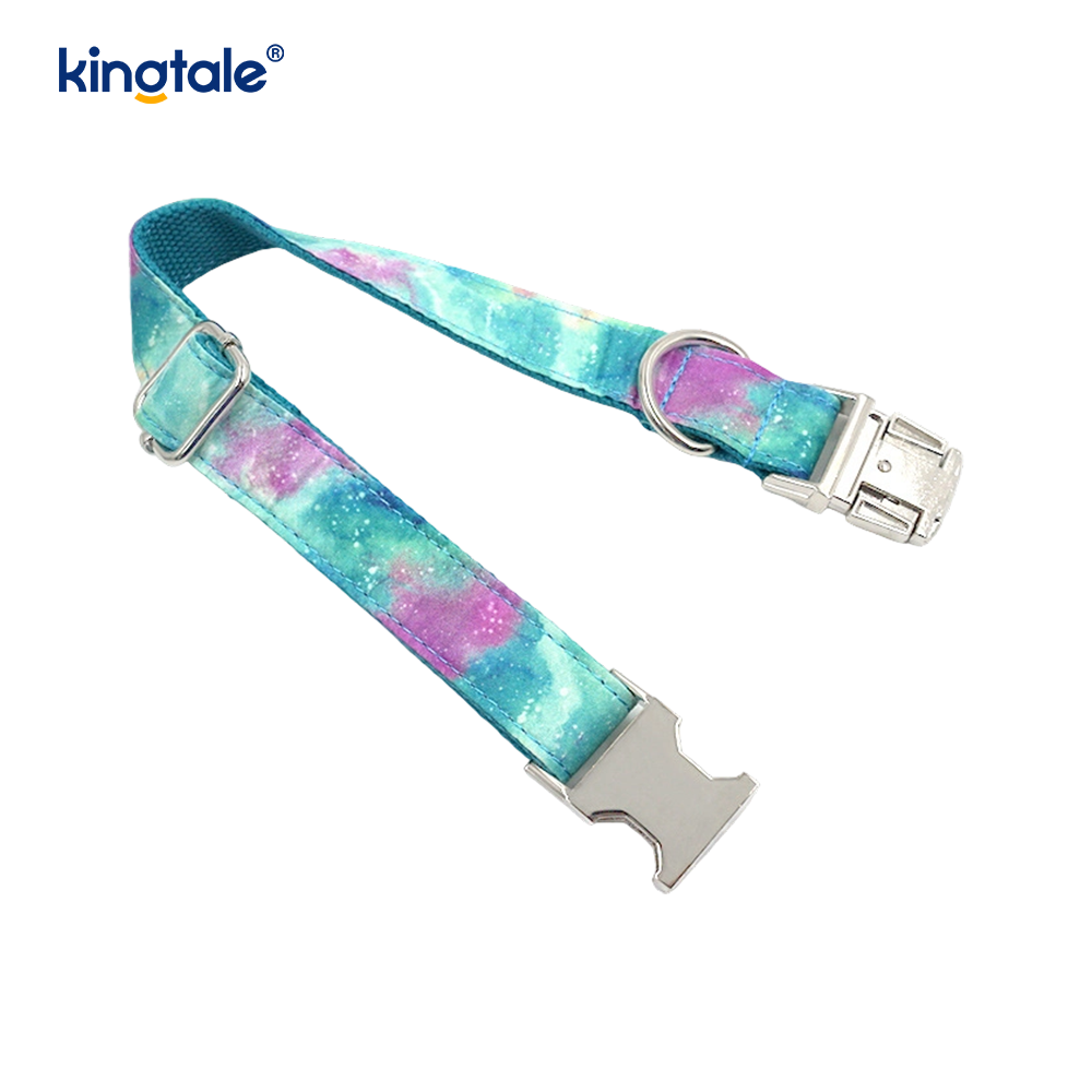 Collier pour animaux de compagnie ciel étoilé rêveur, laisse de style Amazon pour chien