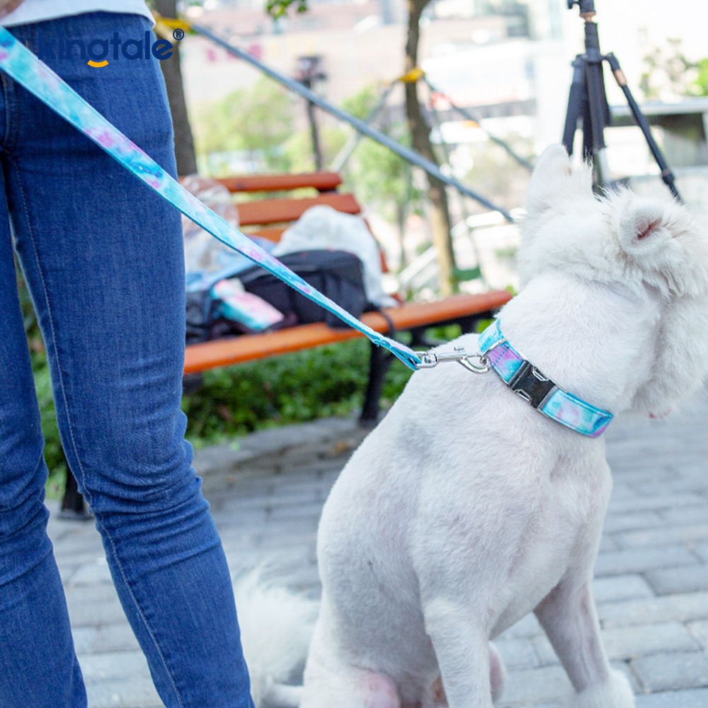 Collier pour animaux de compagnie ciel étoilé rêveur, laisse de style Amazon pour chien