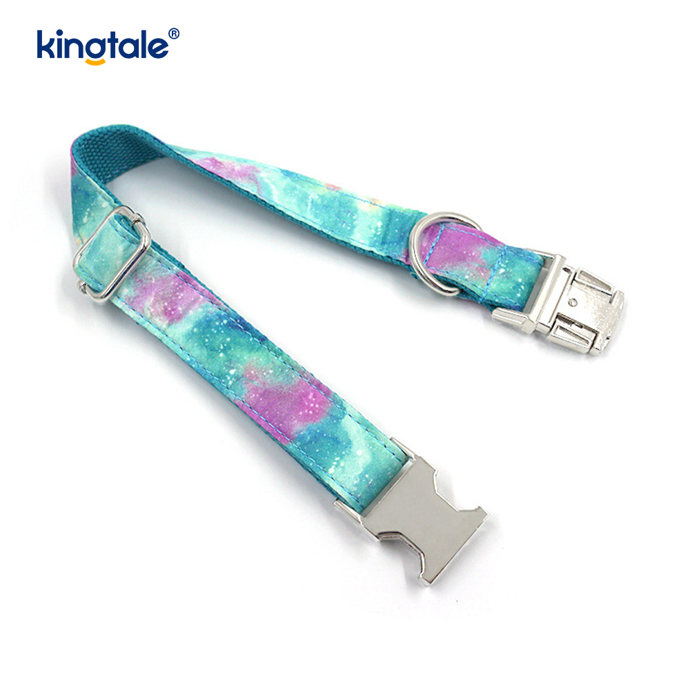 Collier pour animaux de compagnie ciel étoilé rêveur, laisse de style Amazon pour chien