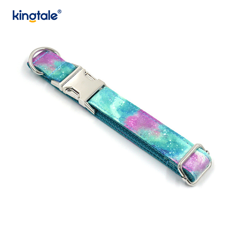 Collier pour animaux de compagnie ciel étoilé rêveur, laisse de style Amazon pour chien