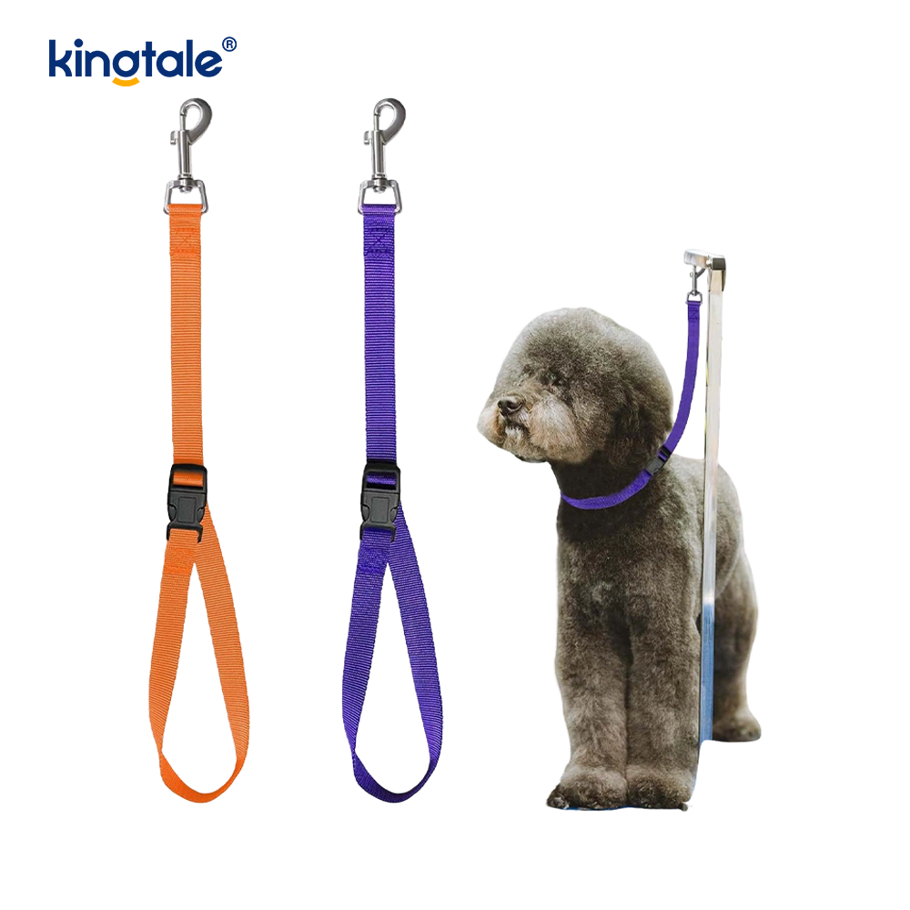 Laisse de retenue de toilette pour animaux de compagnie, sangle de sécurité réglable, vente en gros