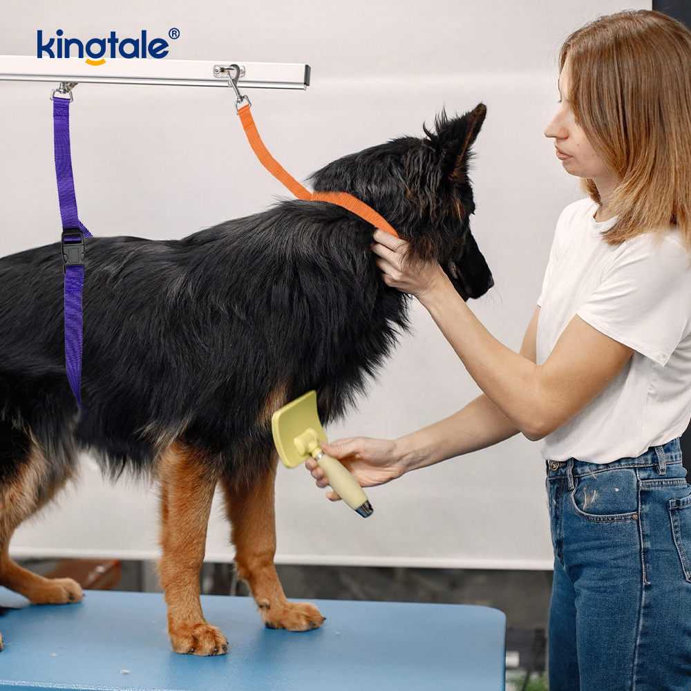 Laisse de retenue de toilette pour animaux de compagnie, sangle de sécurité réglable, vente en gros
