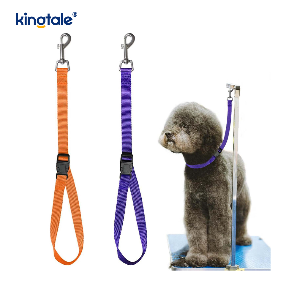 Laisse de retenue de toilette pour animaux de compagnie, sangle de sécurité réglable, vente en gros