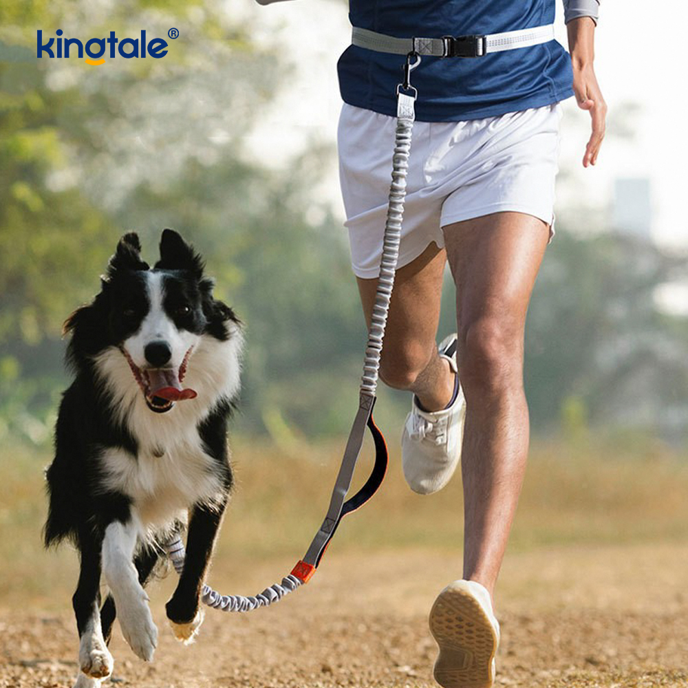 Laisse pour chien réfléchissante double rétractable Amazon pour la course en plein air