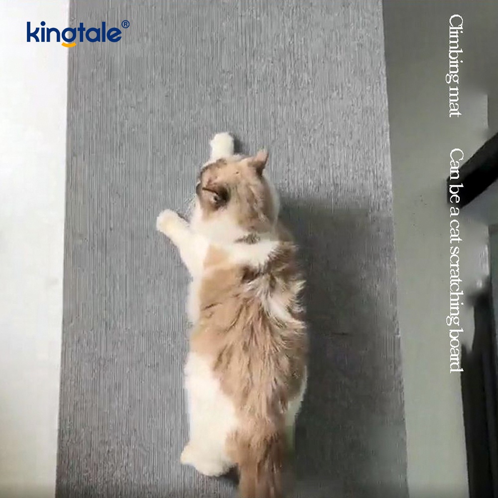 Tapis auto-adhésif à gratter pour chat, tampons de remplacement, Protection des meubles