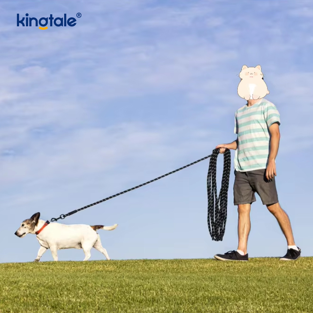 Laisse réfléchissante en Nylon pour chien, imprimé à la mode, nouvelle collection pour animaux de compagnie