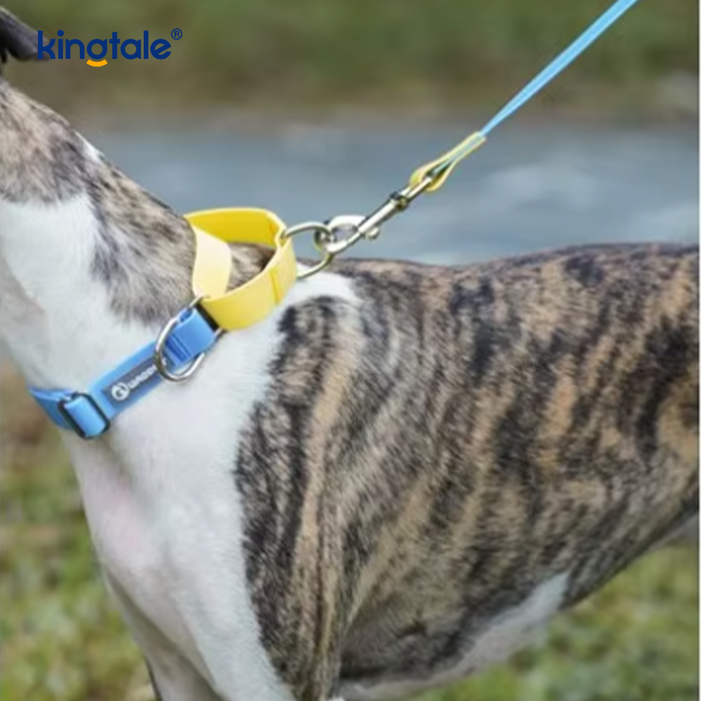 Laisse imperméable pour chien, fournitures de luxe en Nylon simples pour animaux de compagnie