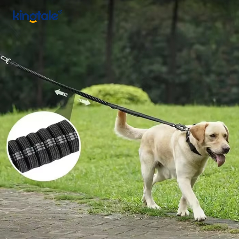 Laisse de sécurité en nylon réfléchissant, tampon élastique, siège de voiture solide pour chien
