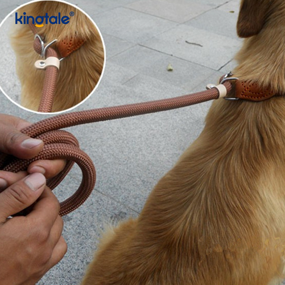 Laisse en P extra-longue et épaisse anti-traction pour laisse de dressage pour chiens