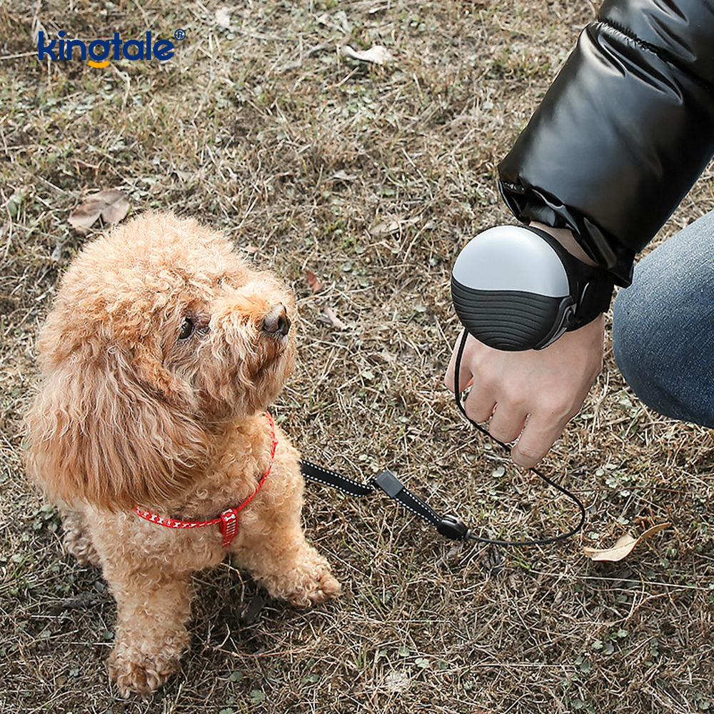 Laisse rétractable pour animaux de compagnie, style montre-bracelet, pour chiens de petite, moyenne et grande taille