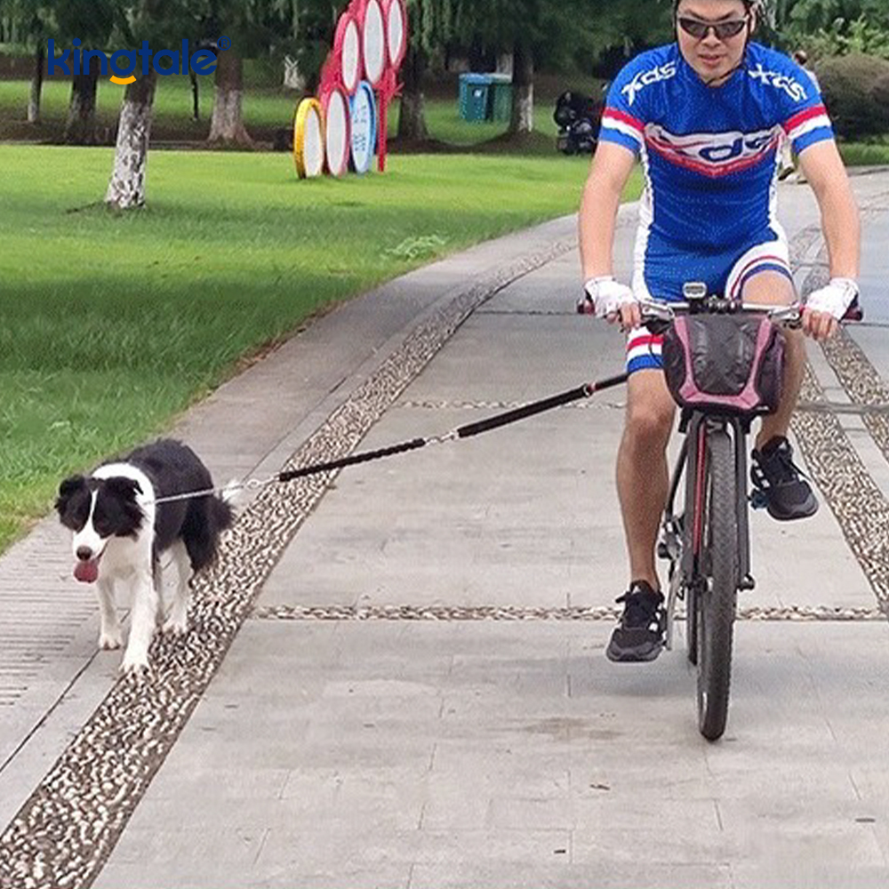 Attache de laisse de vélo pour chien, corde de Traction mains libres pour vélo