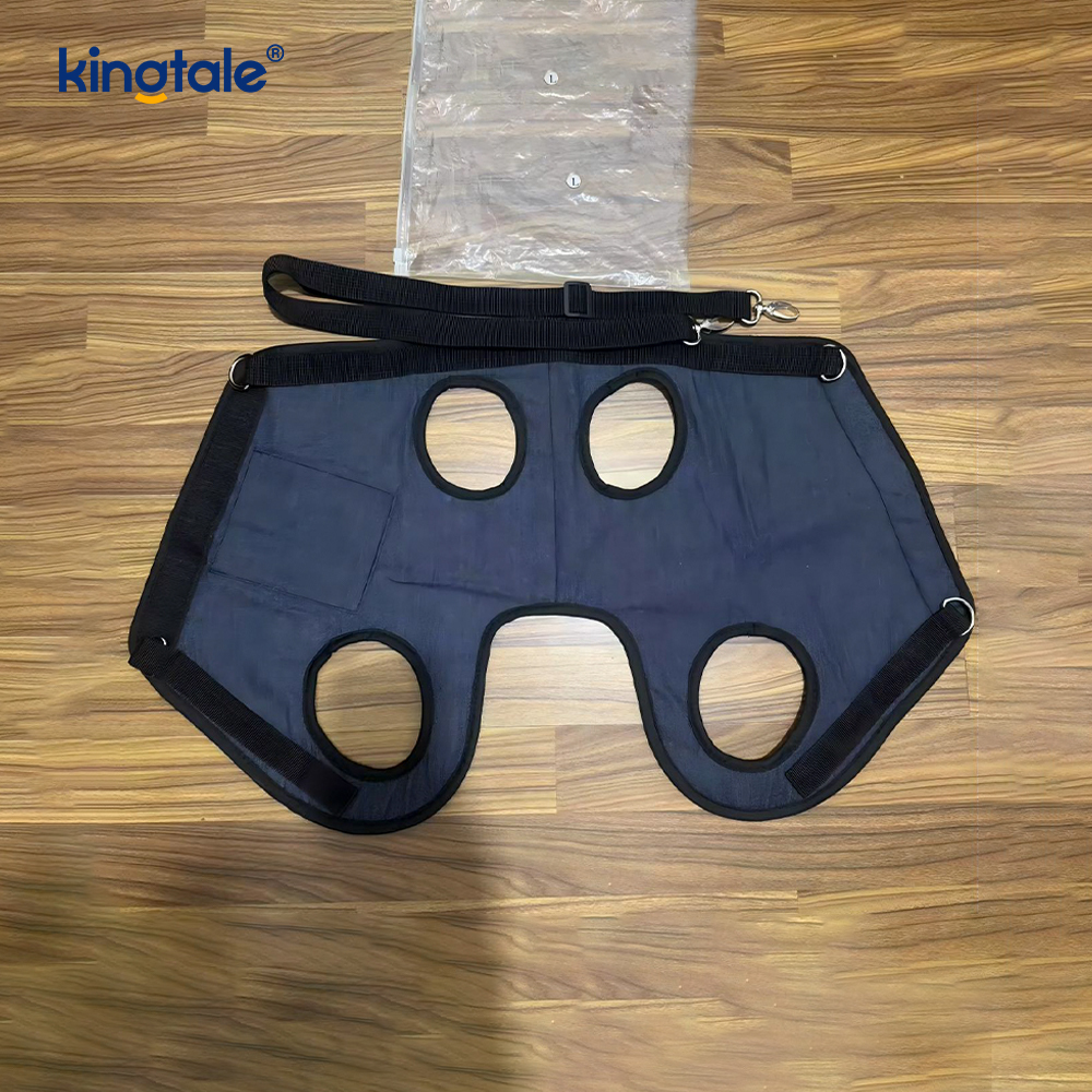 Harnais de poitrine pour sac à dos pour chat et chien