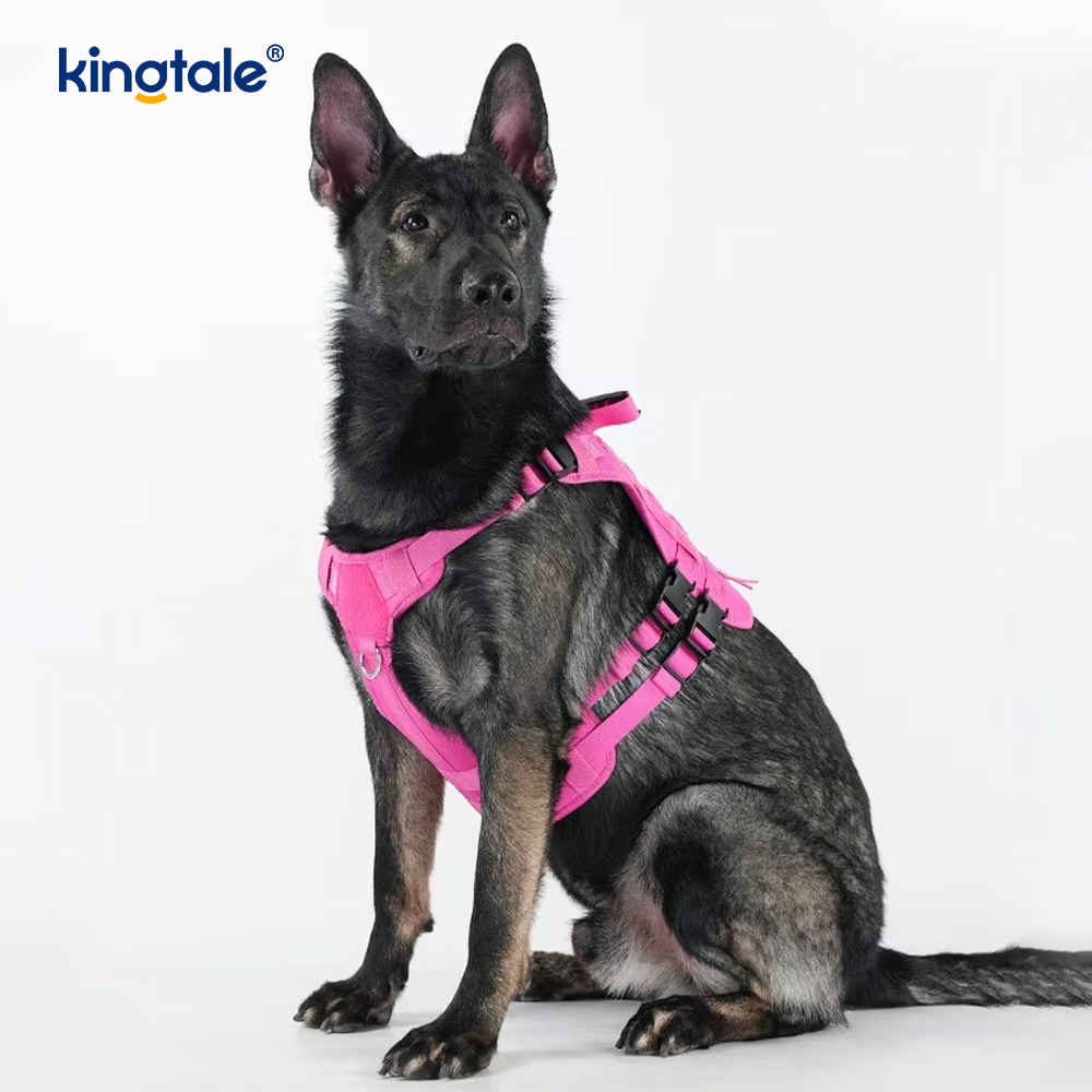 Harnais de poitrine pour sac à dos pour chat et chien