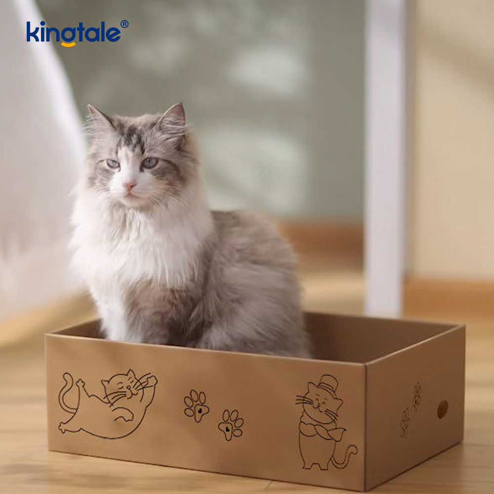 Tapis à gratter pour chat, 5 paquets en 1, avec boîte, adapté aux chats