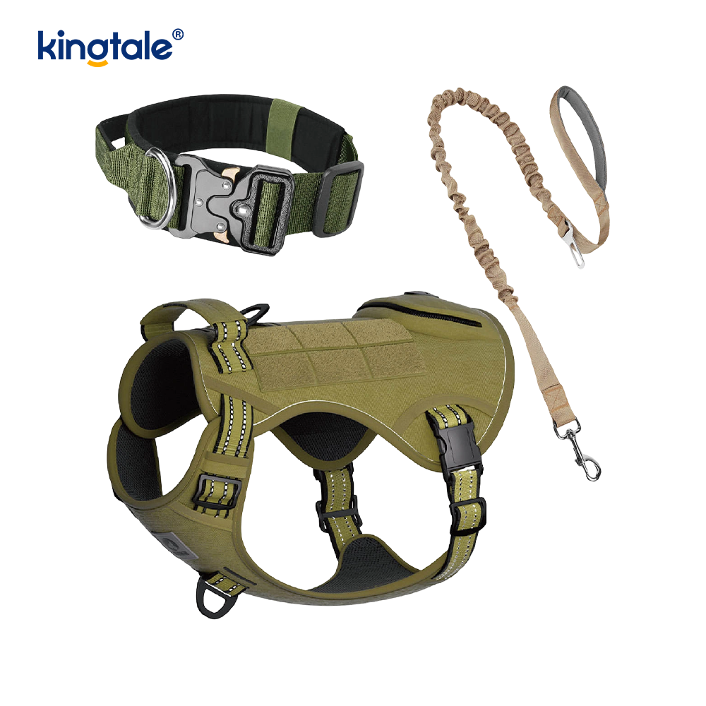 Ensemble de harnais de laisse de collier de chien sans traction en nylon d'entraînement avec contrôle