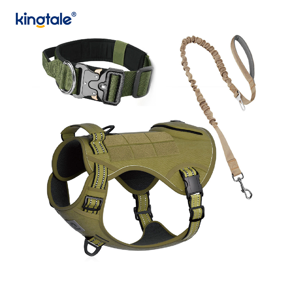 Ensemble de harnais de laisse de collier de chien sans traction en nylon d'entraînement avec contrôle