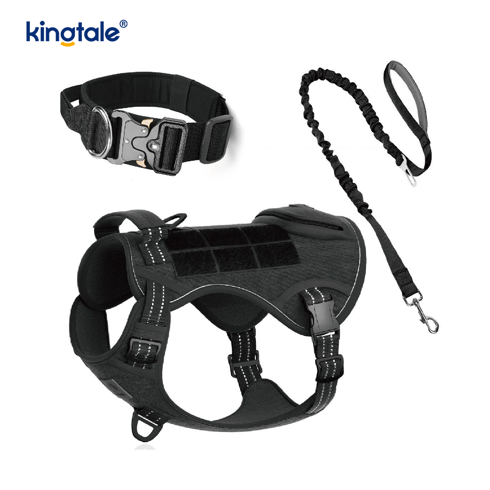Ensemble de harnais de laisse de collier de chien sans traction en nylon d'entraînement avec contrôle